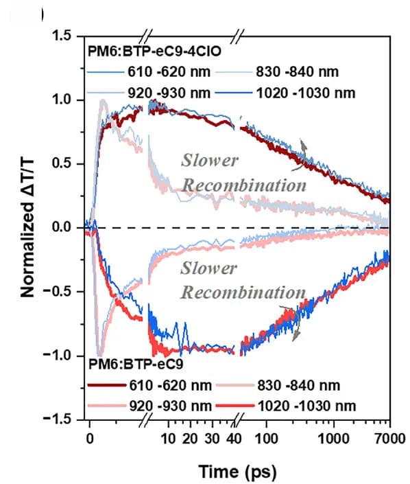 Open access visualization of Line Plot, Singleton, Polaron, Kinetics