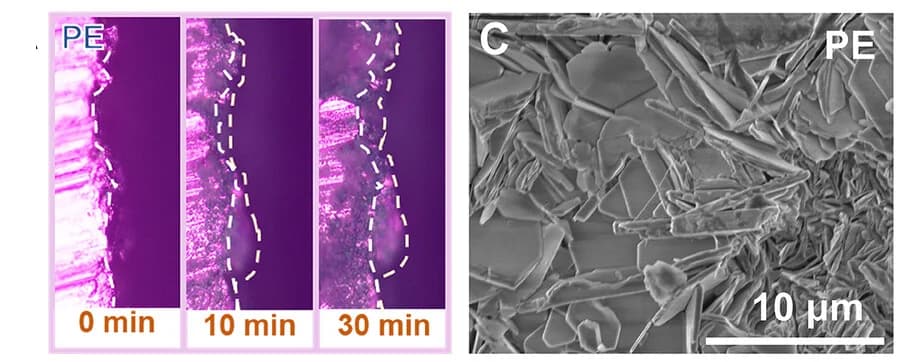 Open access visualization of Microscopy, Photo, Optical Microscopy, Zinc Deposition, PE Electrolyte