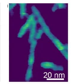 Open access visualization of Microscopy, AFM, Silk Nanofibrils, Height Images