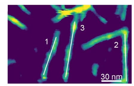 Open access visualization of Microscopy, AFM, Height Images, Silk Nanofibrils