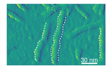 Open access visualization of Microscopy, AFM, Amplitude Images, Silk Nanofibrils