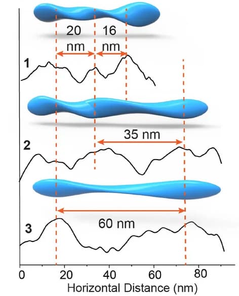 Open access visualization of Line Plot, Helical Pitch, Nanofibrils, Persistence Lengths, Twisted Geometry