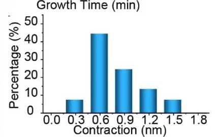 Open access visualization of Histogram, Nanofibril Ends, Vertical Contraction, Nucleation