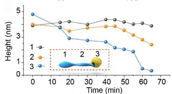 Open access visualization of Line Plot, Height Variation, Degradation Time