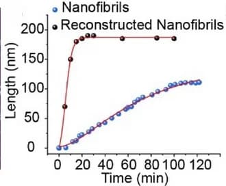 Open access visualization of Line Plot, Scatter Plot, Silk Nanofibrils, Growth Length, Growth Time