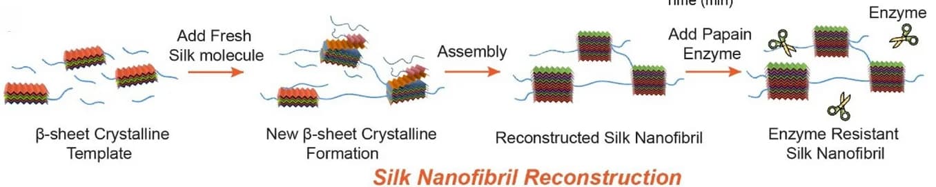 Open access visualization of Workflow, Illustration, Silk Nanofibrils, Reconstruction, Assembly Pathway