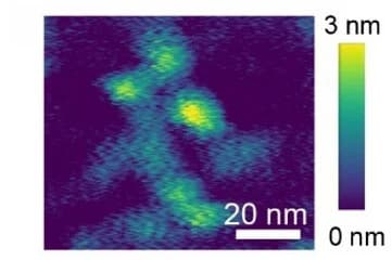 Open access visualization of Heatmap, AFM Image, Silk Nanofibrils