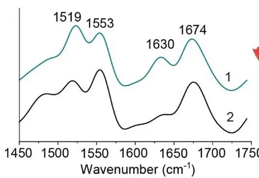 Open access visualization of Line Plot, PiFM Spectra, Silk Nanofibrils
