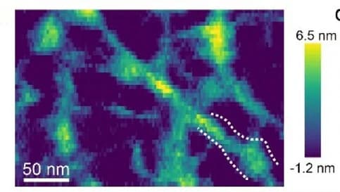 Open access visualization of Heatmap, AFM Image, Reconstructed Nanofibril