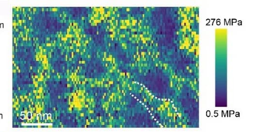 Open access visualization of Heatmap, Young's Modulus, AFM, Reconstructed Nanofibril