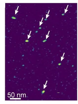 Open access visualization of Microscopy, AFM Image, Silk Nanoparticles