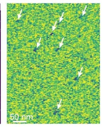 Open access visualization of Microscopy, Young's Modulus, AFM, Silk Nanoparticles