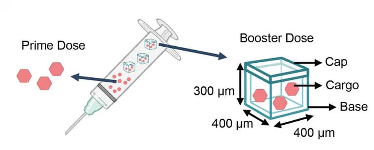 Open access visualization of Illustration, Polyanhydride, Core-shell, Microparticles, Vaccine