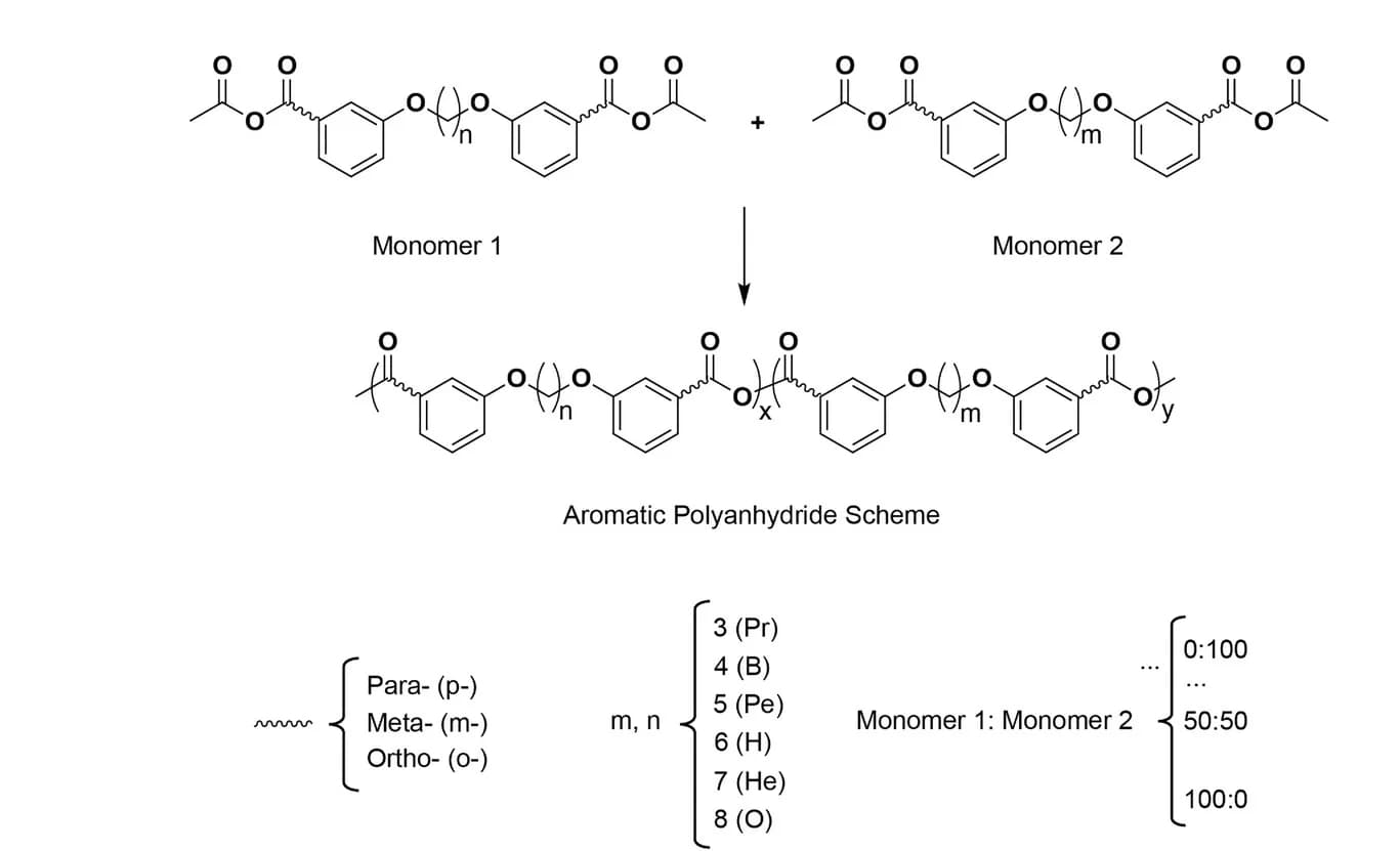 Open access visualization of Chemical Structure, Aromatic Polyanhydride, Library, Hydroxybenzoic Acid, Dibromides