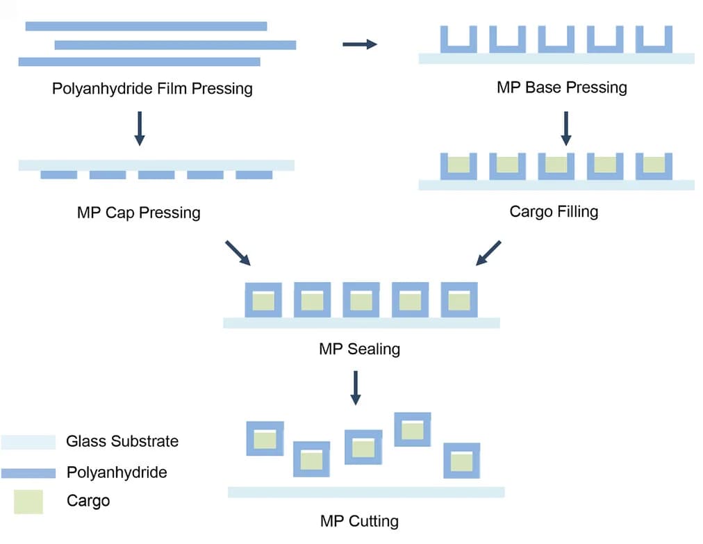 Open access visualization of Workflow, Flowchart, Illustration, SEAL Core-Shell MPs, Fabrication