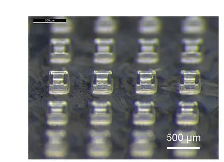Open access visualization of Microscopy, Light Microscopy, Polyanhydride Polymer Film, Microparticle Bases