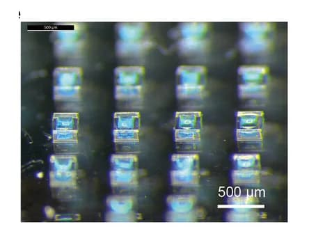 Open access visualization of Microscopy, Photo, Light Microscopy, Sealed Microparticles