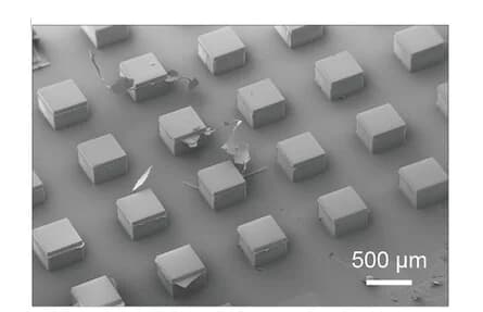 Open access visualization of Microscopy, Scanning Electron Microscopy, Sealed Microparticles