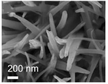 Open access visualization of Microscopy, SEM Images, Magnification