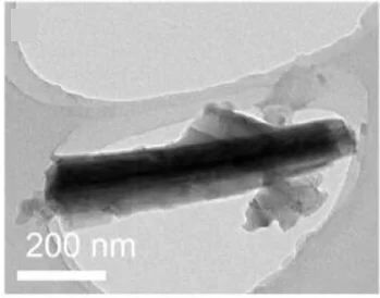 Open access visualization of Microscopy, TEM Image, Nanoneedle