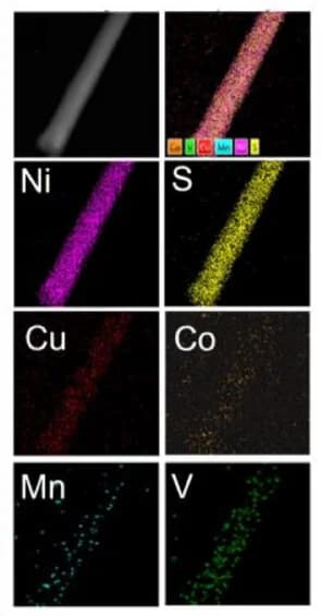 Open access visualization of Microscopy, HAADF-STEM Image, EDX Maps