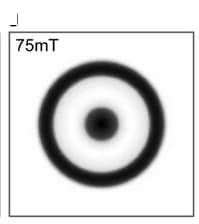 Open access visualization of Photo, Numerical Simulations, Skyrmion Bags, OOP-magnetization, Isosurfaces
