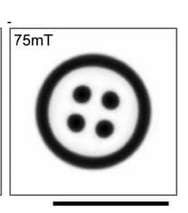 Open access visualization of Photo, Numerical Simulations, Skyrmion Bags, OOP-magnetization, Isosurfaces