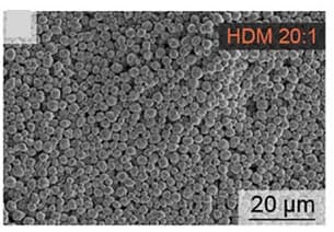 Open access visualization of Microscopy, SEM, LPSCl Powder, HDM