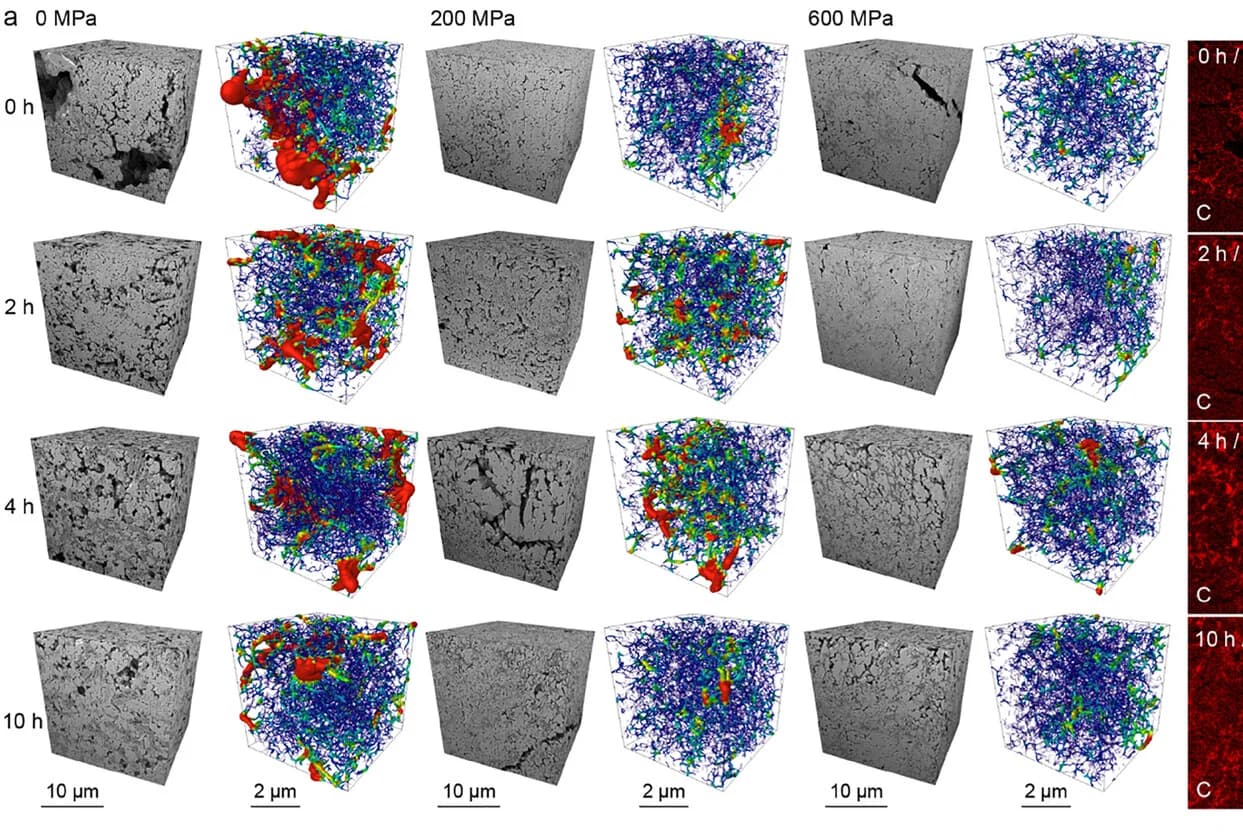 Open access visualization of Microscopy, EDS Mapping, Carbon, Binder Distribution, SE Tapes