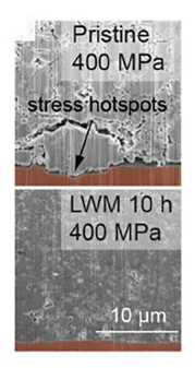 Open access visualization of Microscopy, Cross-Sections, LPSCl SEs, SEM Images, Inhomogeneous Shape