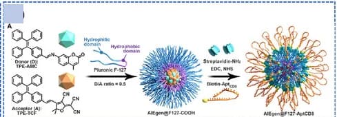 Open access visualization of Workflow, Chemical Structure, Illustration, CD8+T Cells, Nanoprobe