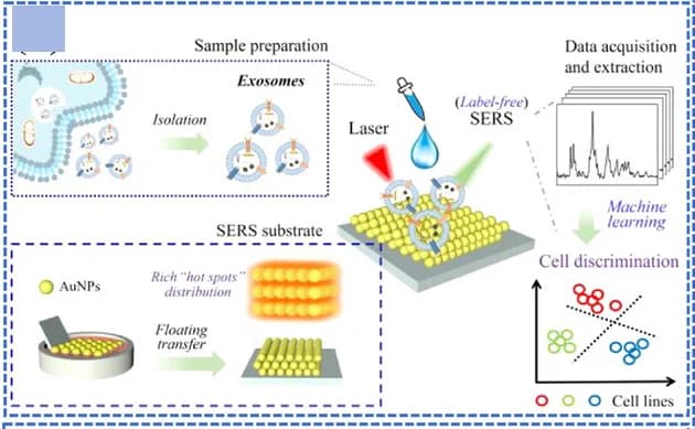 Open access visualization of Workflow, Illustration, Line Plot, Scatter Plot, SERS Detection