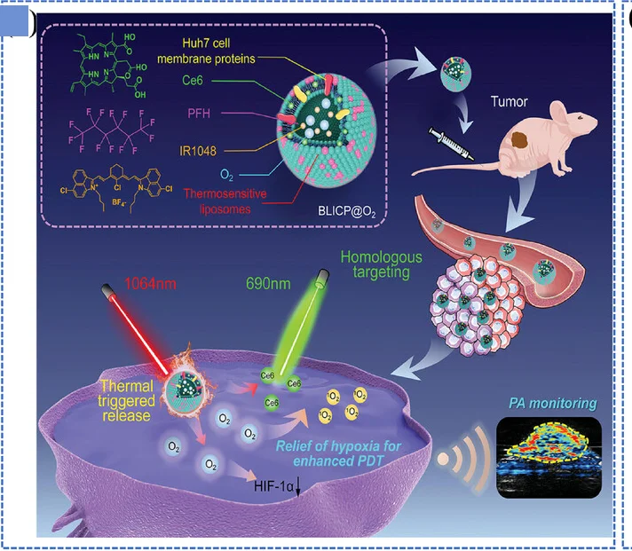 Open access visualization of Workflow, Illustration, Chemical Structure, PAI, Nanoparticles