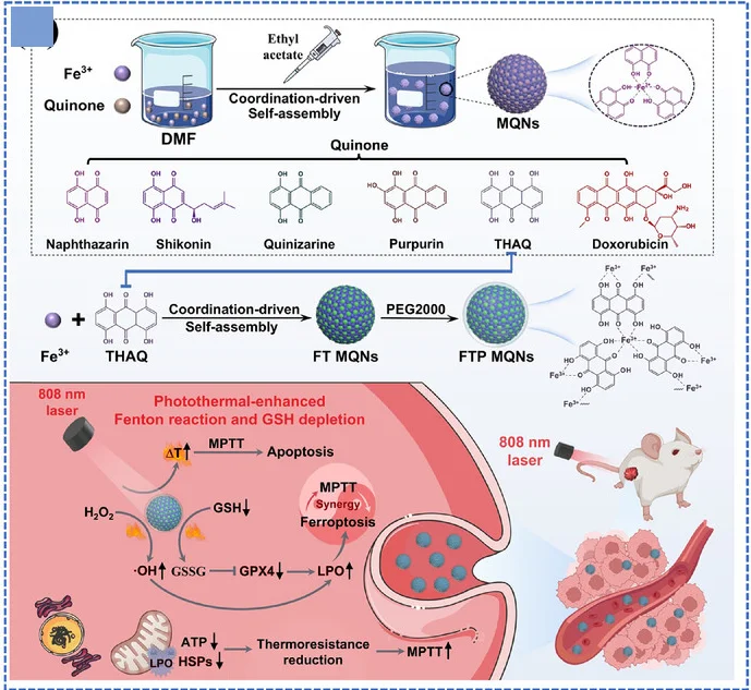 Open access visualization of Workflow, Illustration, Chemical Structure, MQNs, Fabrication