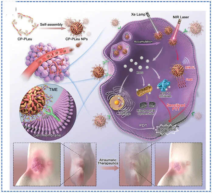 Open access visualization of Workflow, Illustration, Photo, Bioinspired Photosensitizer, Photodynamic Effects