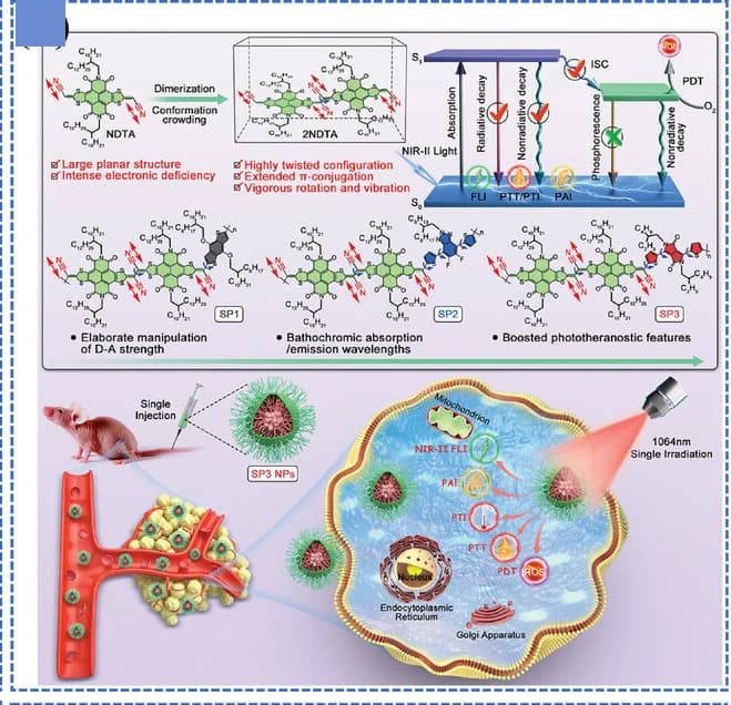 Open access visualization of Workflow, Illustration, Chemical Structure, Molecular Design, NIR-II Polymer