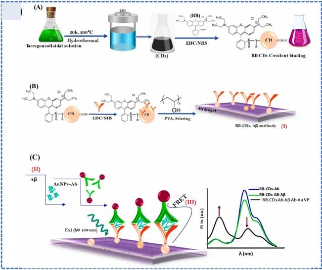 Open access visualization of Workflow, Line Plot, CDs, Hydrogel, Aβ Peptide
