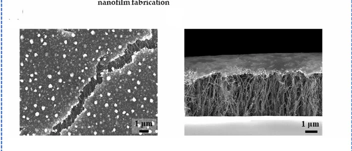 Open access visualization of Microscopy, Scanning Electron Microscope, SEM, CNT, Nanofilm