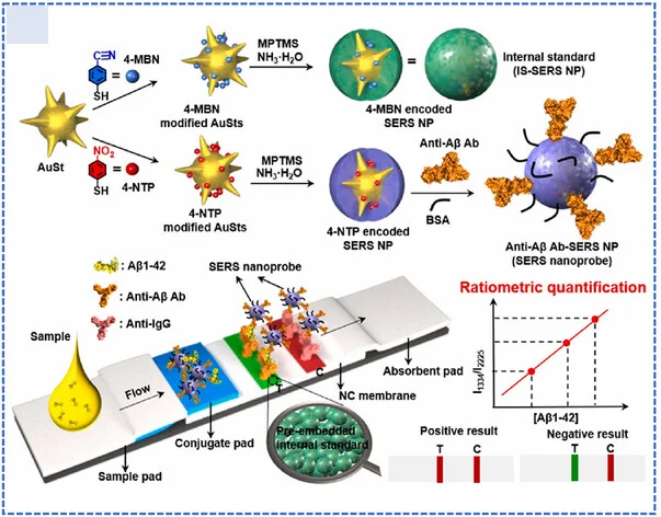 Open access visualization of Workflow, Line Plot, SERS-LFIA, Biosensing Platform, Alzheimers Disease