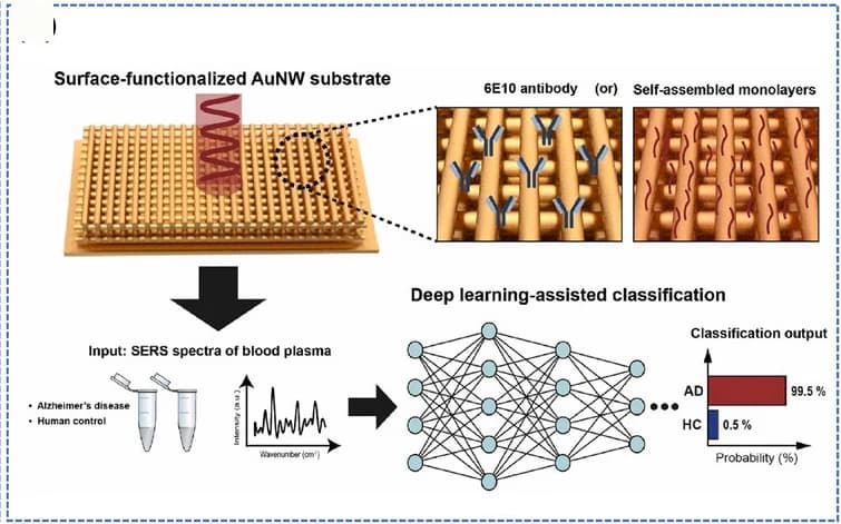 Open access visualization of Workflow, Illustration, Bar Plot, Line Plot, Deep Learning