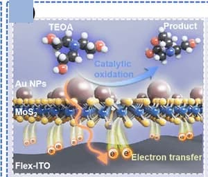 Open access visualization of Illustration, Chemical Structure, Electron-hole separation, MoS2Au, Flex-ITO