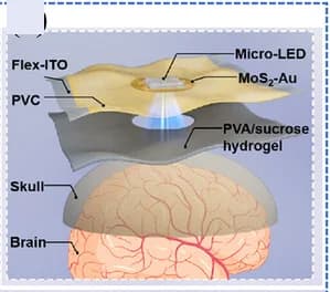 Open access visualization of Illustration, Hydrogel patches, Flex-ITO, MoS2Au, Micro-LED