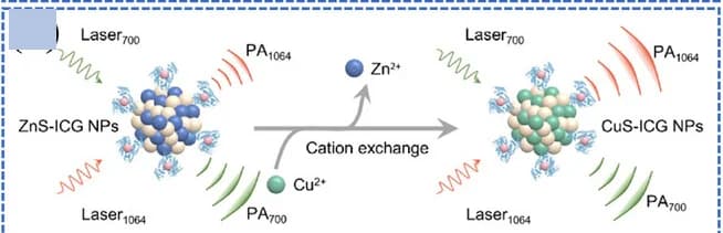 Open access visualization of Workflow, Flowchart, Illustration, Photoacoustic Imaging, Cation Exchange Reaction