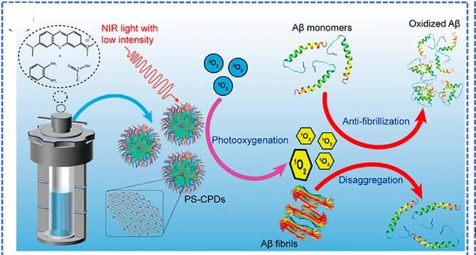 Open access visualization of Workflow, Illustration, Methylene Blue, Carbonized Polymer Dots, Photooxygenation Scavenger