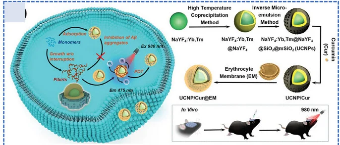 Open access visualization of Workflow, Illustration, Biomimetic Upconversion, Nanobait, Photodynamic Therapy