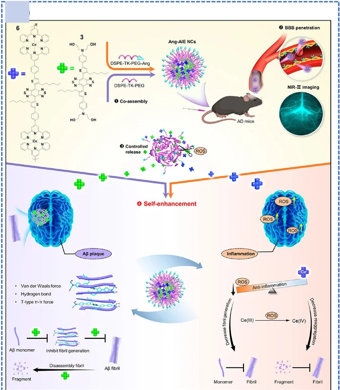 Open access visualization of Workflow, Illustration, Chemical Structure, NIR-II Brain-Target Theranostics, Alzheimer's Disease