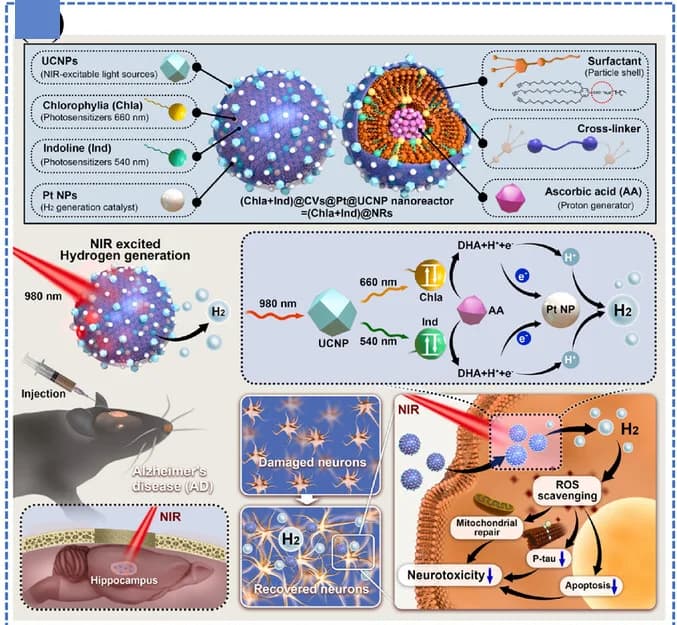 Open access visualization of Workflow, Flowchart, Illustration, Chla + Ind @ NR, NIR-Triggered H2 Release