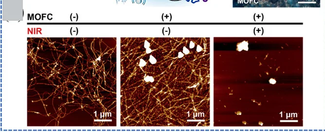 Open access visualization of Microscopy, AFM Images, Aβ Fibrils, MOFC Nanoparticles, NIR Light