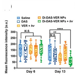 Open access visualization of Box Plot, Scatter Plot, Fundus Fluorescein Angiography, Mean Fluorescence Intensity, CNV Regions