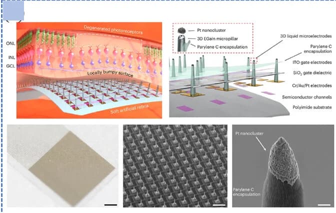 Open access visualization of Microscopy, Illustration, Artificial Retina, Microelectrode Arrays